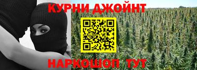 прущие крисы Моздок