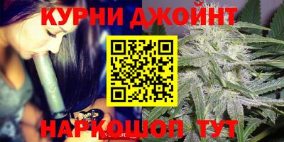 прущие крисы Моздок