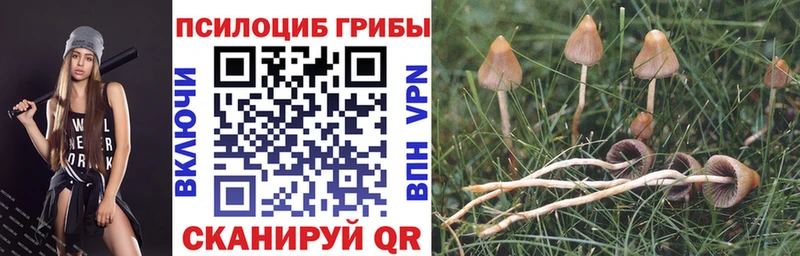 Галлюциногенные грибы мухоморы Бутурлиновка