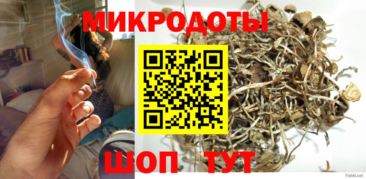 Бутурлиновка  Псилоцибиновые грибы мицелий  Вход с VPN  что такое   Псилоцибиновые грибы прущие грибы 
