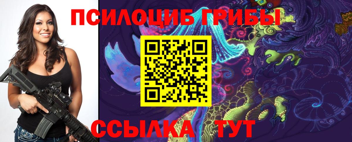 Псилоцибиновые грибы Psilocybine cubensis Бутурлиновка